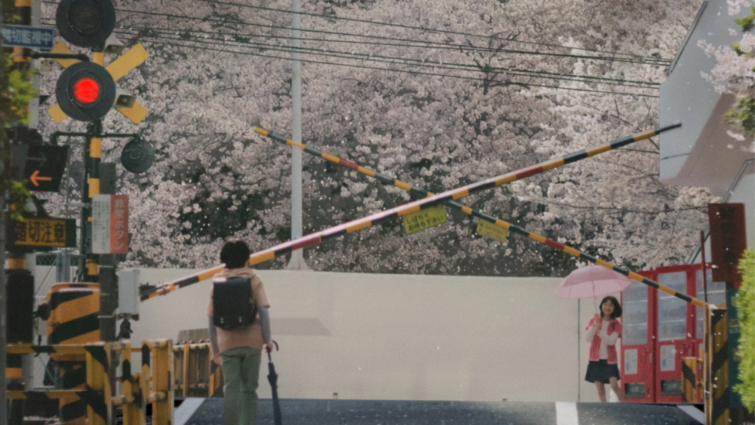 Phim 5 Centimet Trên Giây (Live Action) - Centimeters per Second (2025)