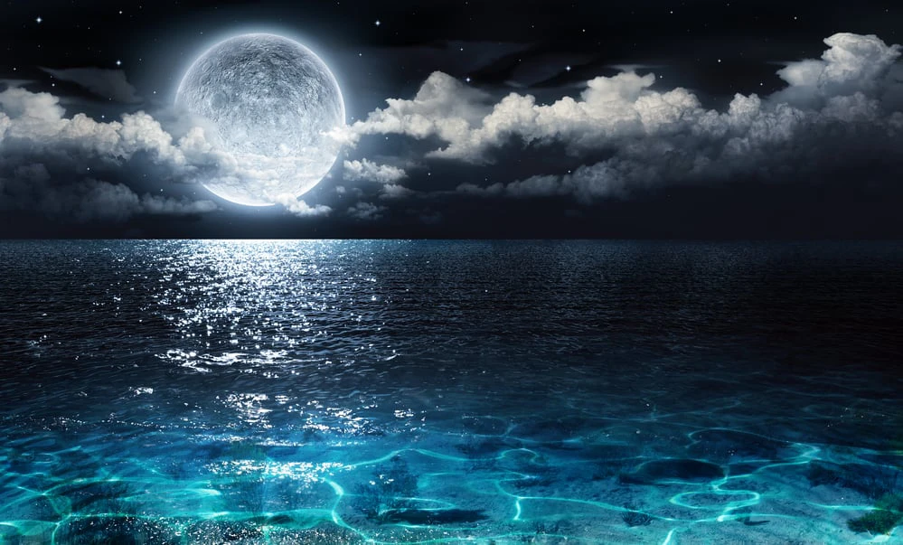 Phim Ánh Trăng - Moonlight (2016)