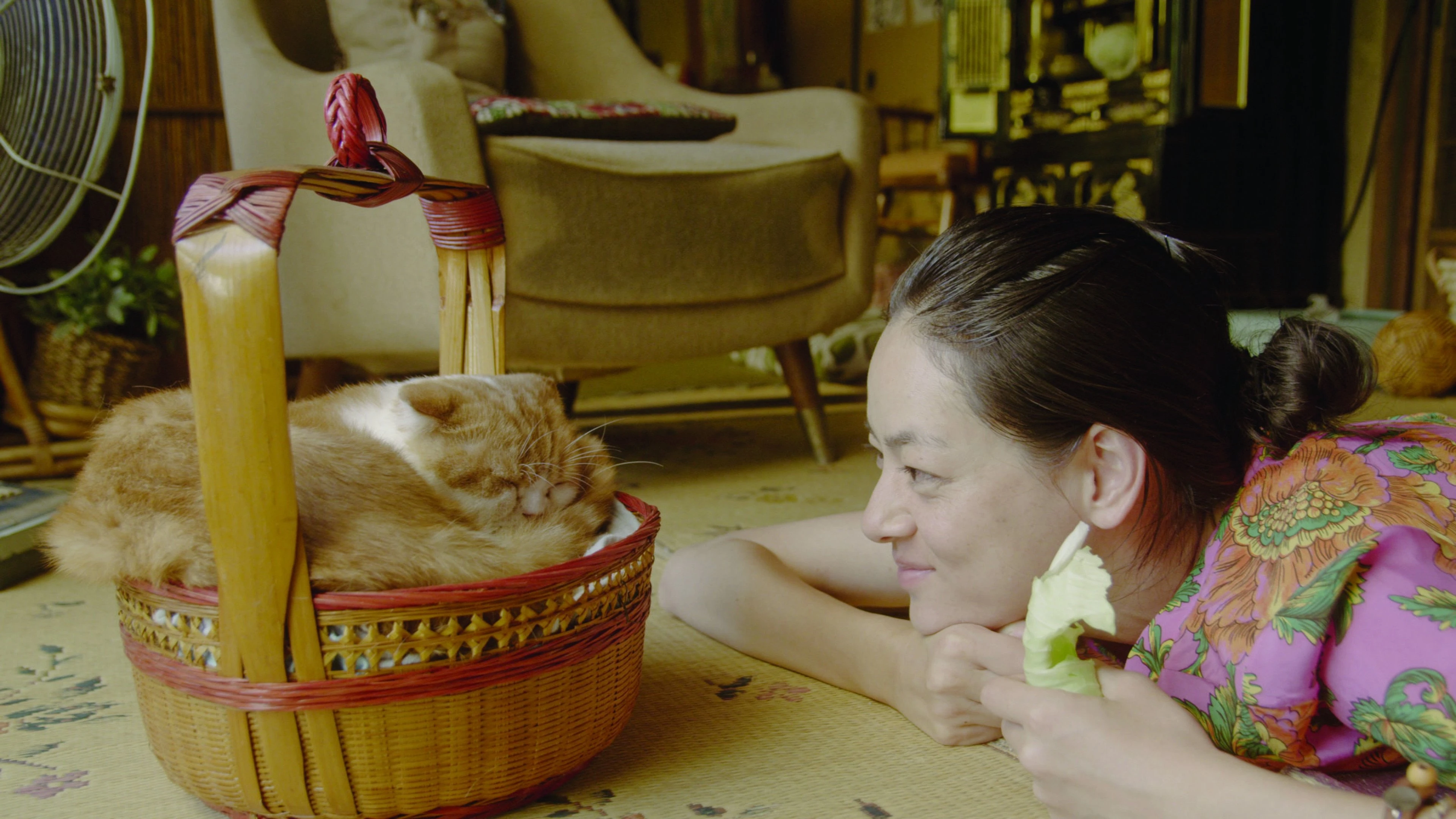 Phim Dịch vụ cho thuê mèo - Rent-a-Cat (2012)