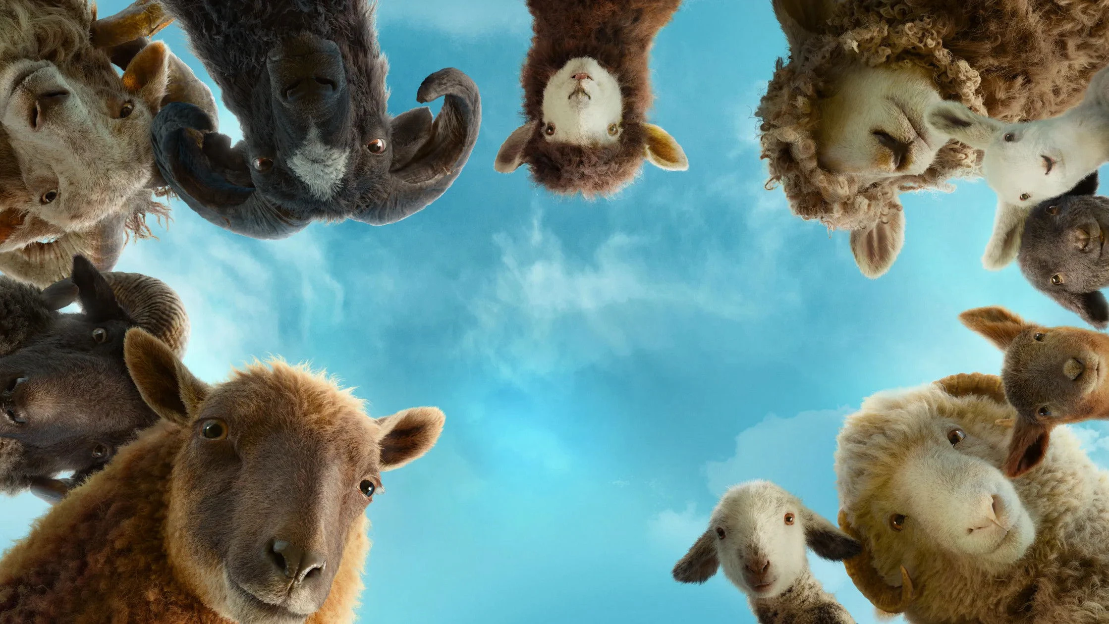 Phim Đội Thám Tử Cừu: Án Mạng Lúc Nửa Đêm - The Sheep Detectives (2026)