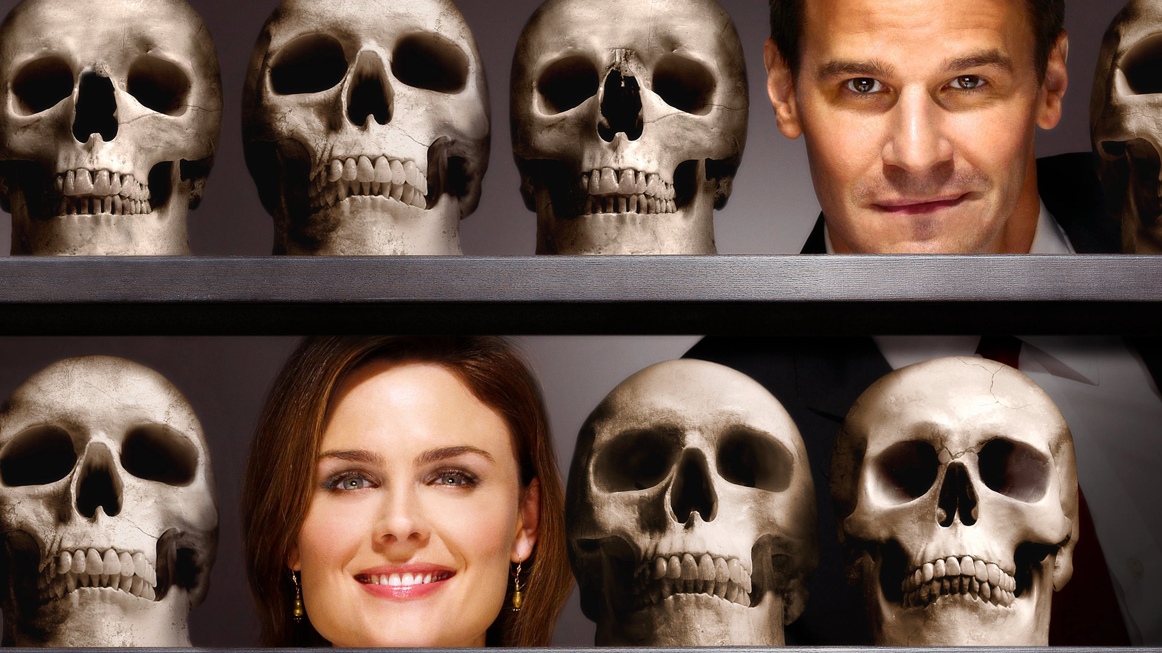 Phim Hài Cốt (Phần 10) - Bones (Season 10) (2014)