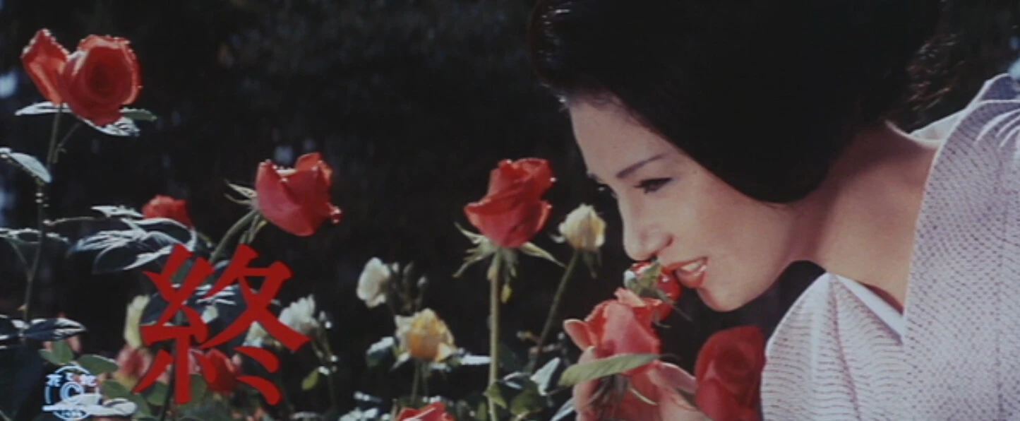 Phim Hoa Và Rắn (1974) - Hana to hebi (1974)