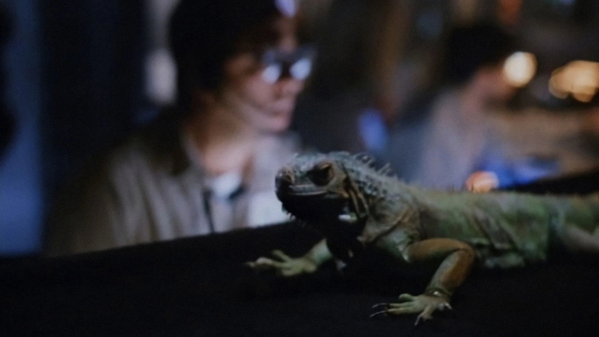 Phim Khủng long ăn thịt 2 - Carnosaur 2 (1995)