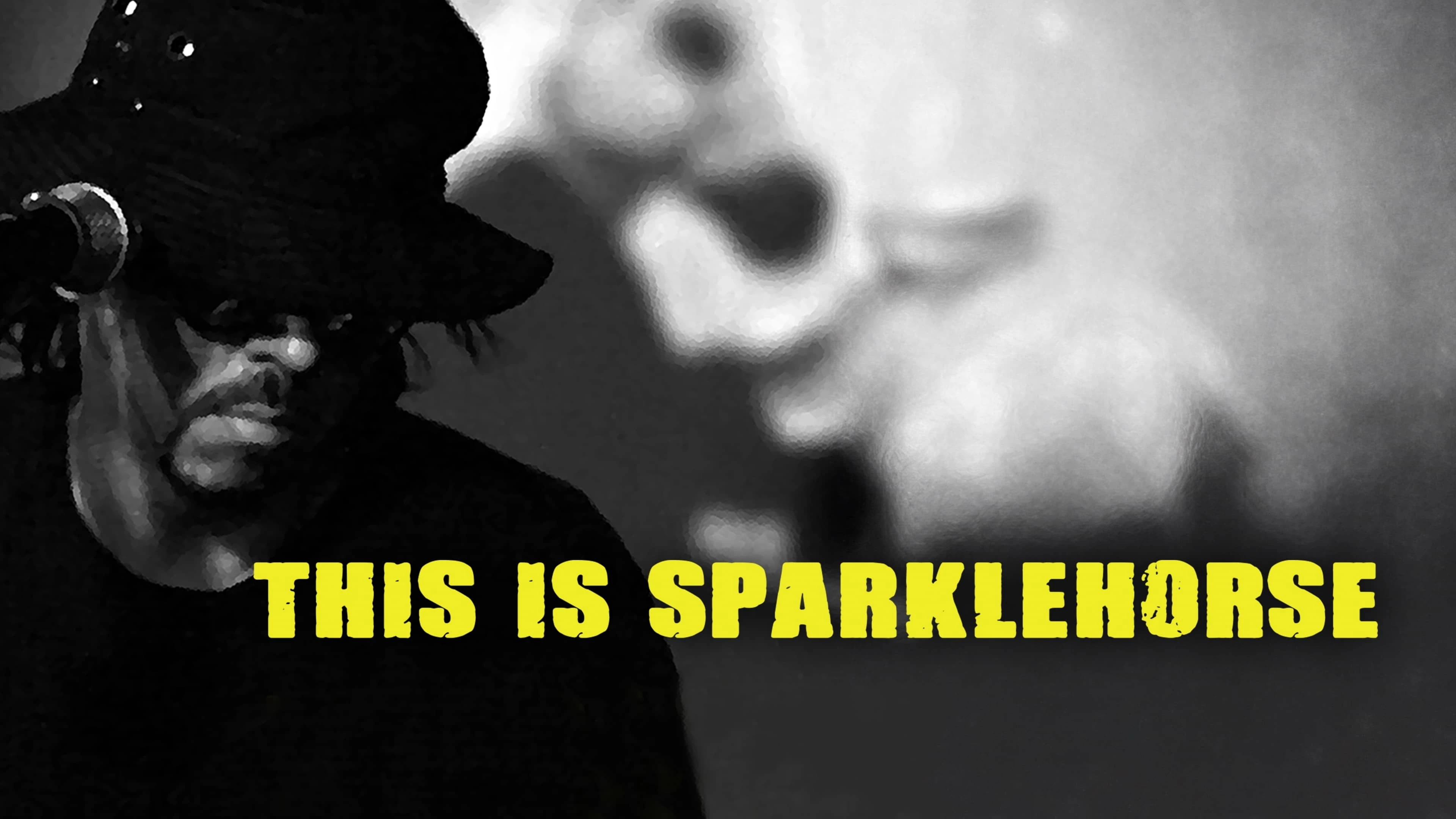 Phim Tia Sáng Tuyệt Đẹp - This Is Sparklehorse (2022)